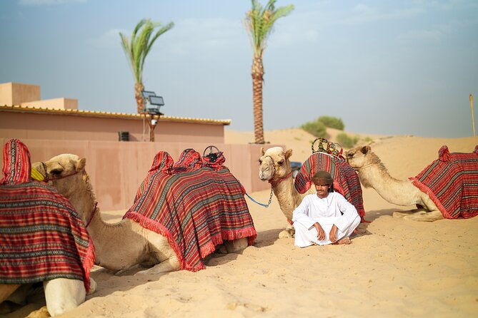 Dubai Evening Desert Safari BBQ Dinner & Transfer to Noble Camp - How the guides shape the day