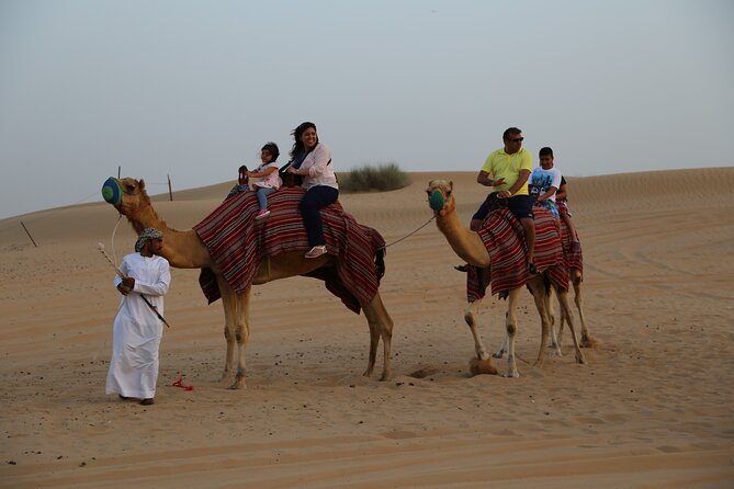 Dubai Evening Desert Safari with Thrilling Dune Buggy Adventure - Timing, comfort, and simple preparation