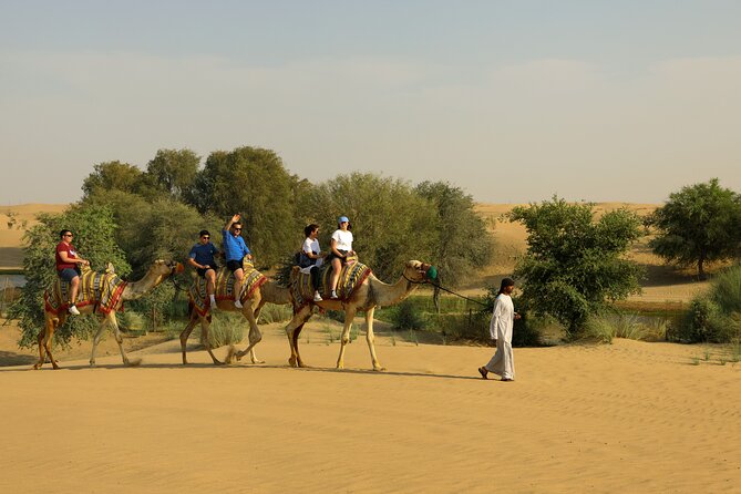 Dubai Evening Heritage Safari by Vintage G Class Al Marmoom Oasis - Bedouin stories and a darker, quieter desert