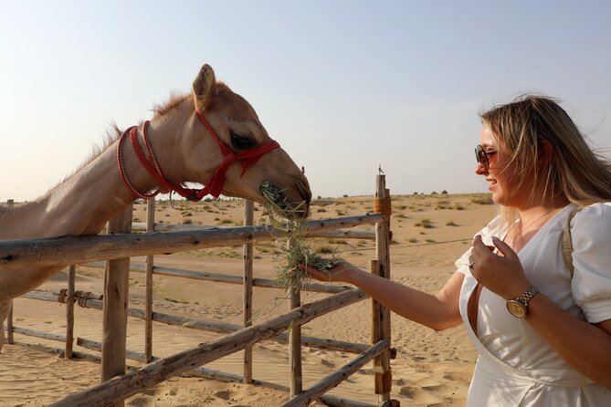 Dubai Evening Heritage Safari by Vintage G Class Al Marmoom Oasis - Who will get the most from this experience
