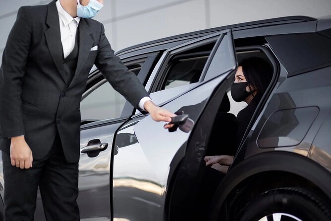 Dubai: Full-Day Private Car and Driver Hire - Downtown Dubai and the famous modern sights
