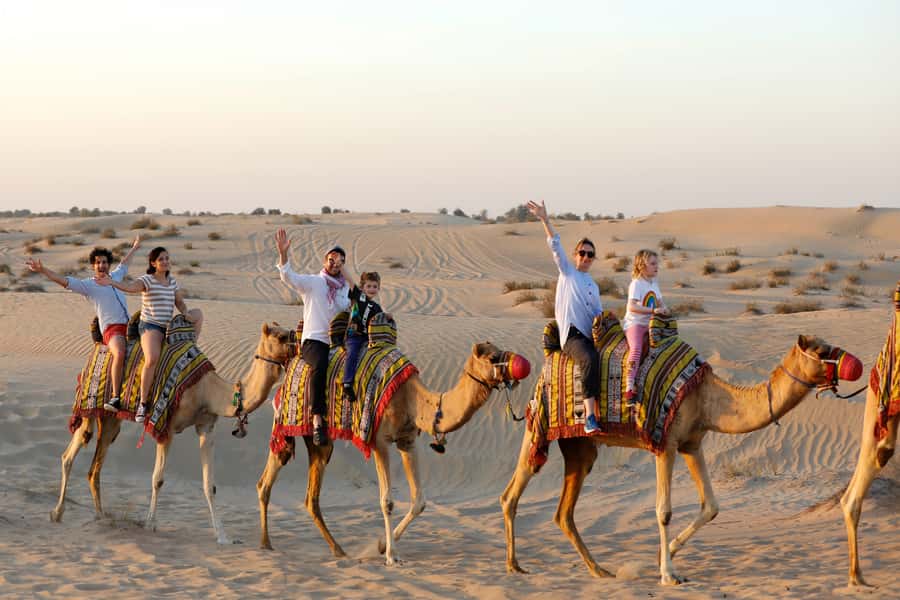 Dubai: Half-Day Camel Trekking with Al Marmoom Breakfast - Who should book this Dubai desert morning?