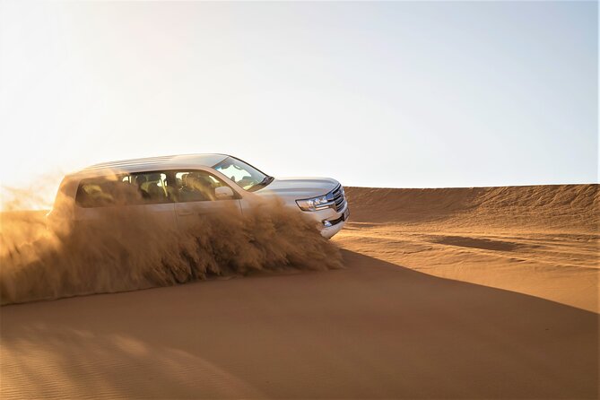 Dubai Half-day Red Dunes bashing with Sandboarding, Camel &Falcon - Timing, comfort, and practical planning