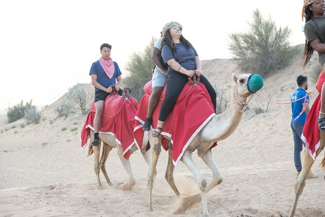 Dubai Half-day Red Dunes bashing with Sandboarding, Camel &Falcon - Sandboarding after the main ride