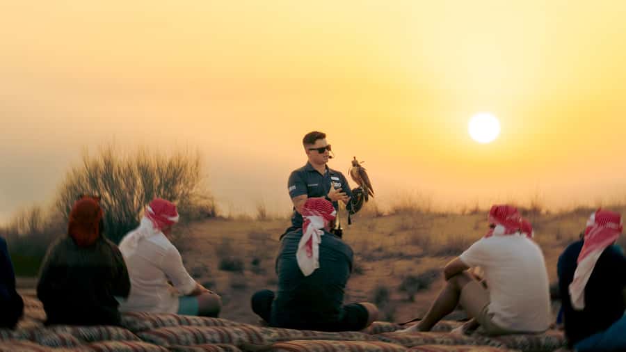 Dubai: Heritage Desert Safari wtih Overnight and Breakfast - The reserve drive and sunset falconry
