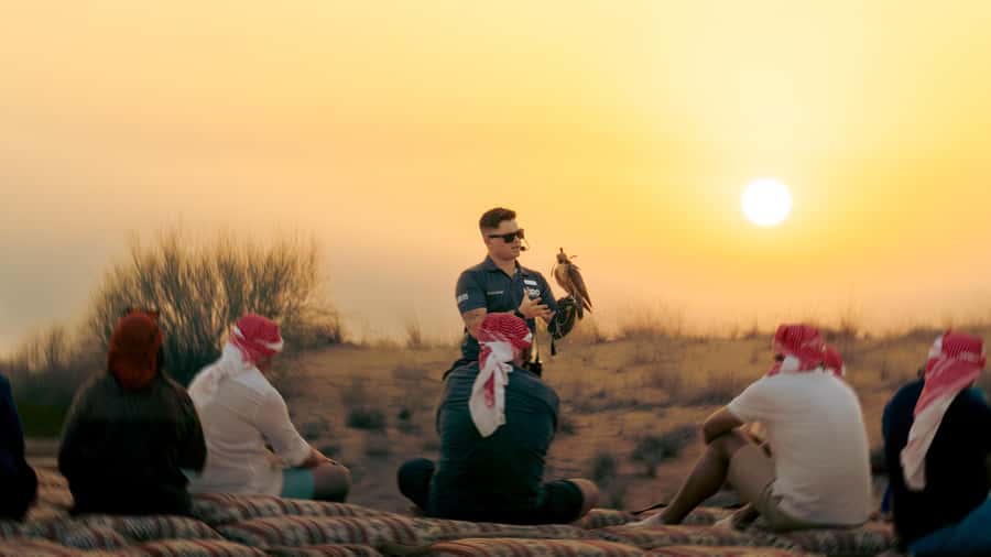 Dubai: Heritage Safari in Vintage Land Rover with Dinner - Wildlife watching in the Dubai Desert Conservation Reserve