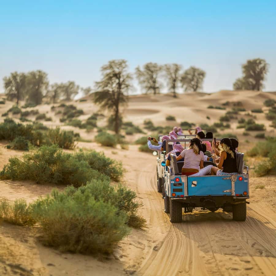 Dubai: Heritage Safari in Vintage Land Rover with Dinner - From your Dubai hotel to the reserve