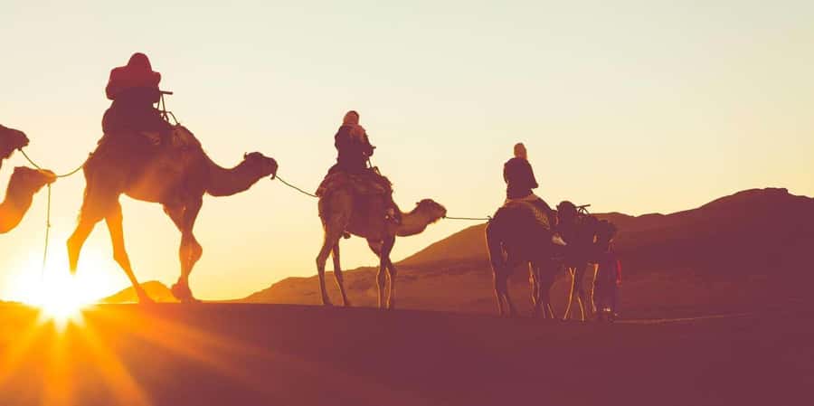 Dubai: Hot Air Balloon with Camel, ATV, & Horse Ride Options - Why the sunrise flight earns the early alarm