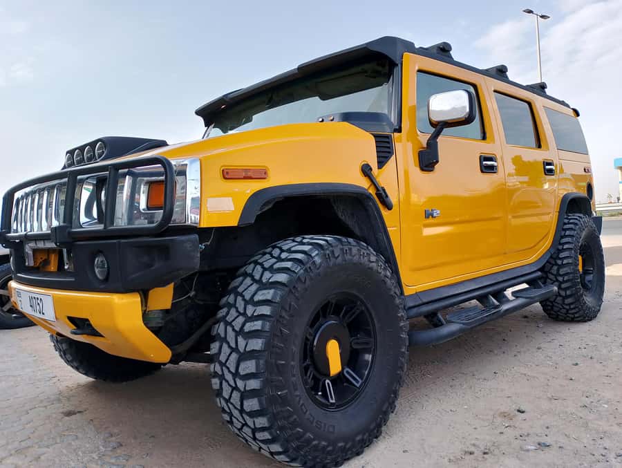 Dubai Hummer Safari Adventure & Traditional Dress Photoshoot - The short camel ride keeps expectations realistic