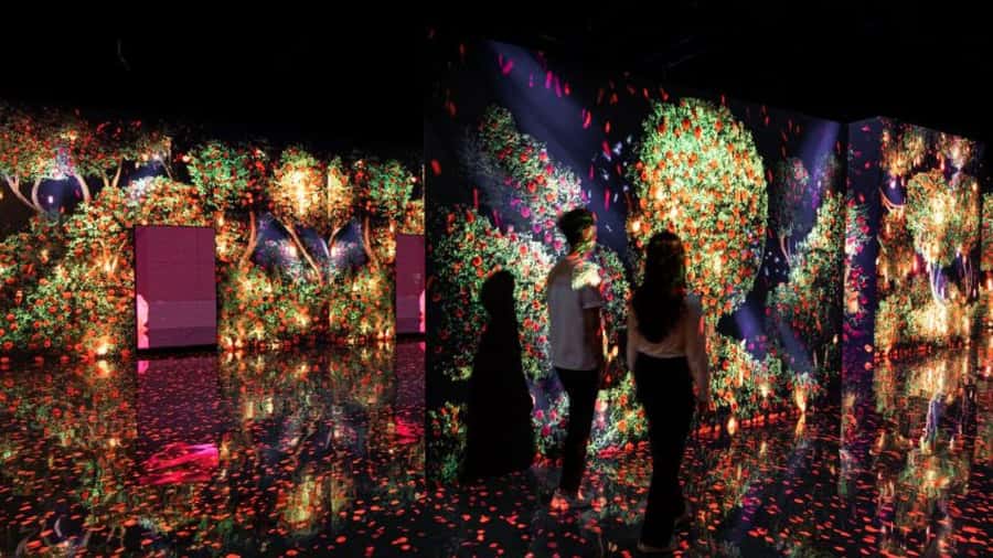 Dubai: iVenture Card Dubai Flexi Attractions Pass - What the $196 price really means