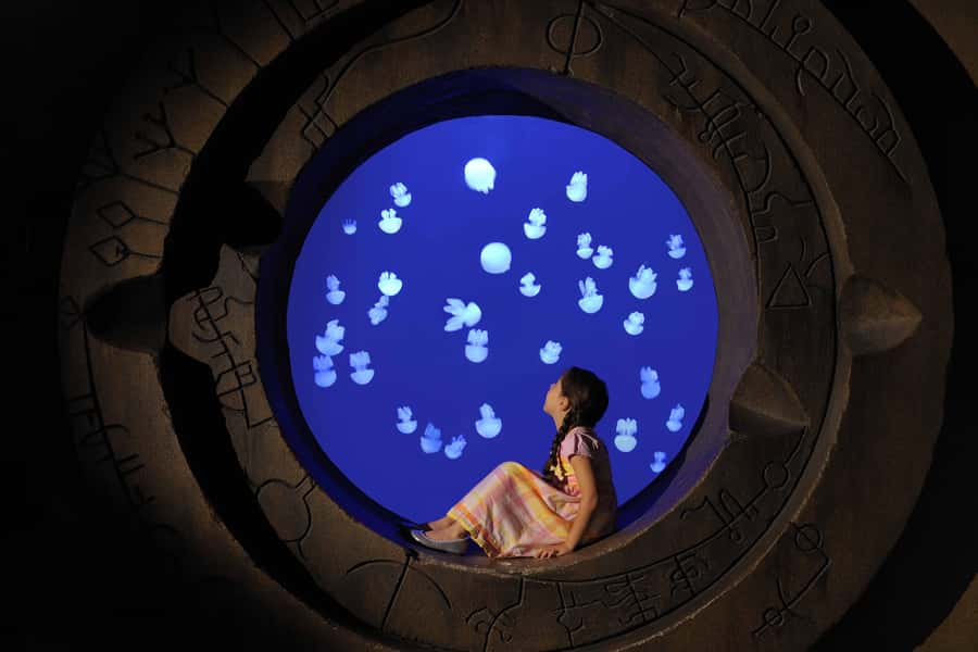 Dubai: Lost Chambers Aquarium Entry Ticket - What you will see in the 21 exhibits