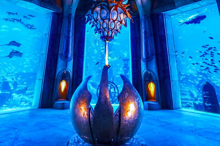 Dubai: Lost Chambers Aquarium Entry Ticket - Is $45 good value?