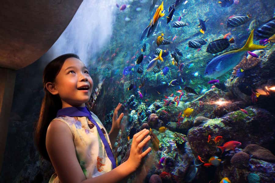 Dubai: Lost Chambers Aquarium Entry Ticket - The Ambassador Lagoon deserves your time