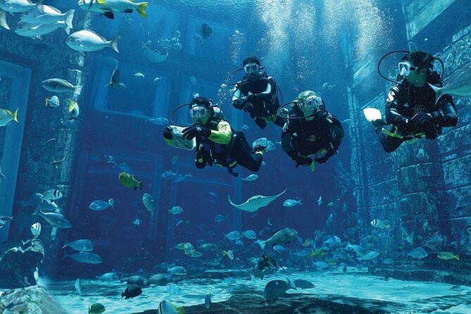 Dubai Lost Chambers Dive Discovery - The underwater tour among sharks and rays