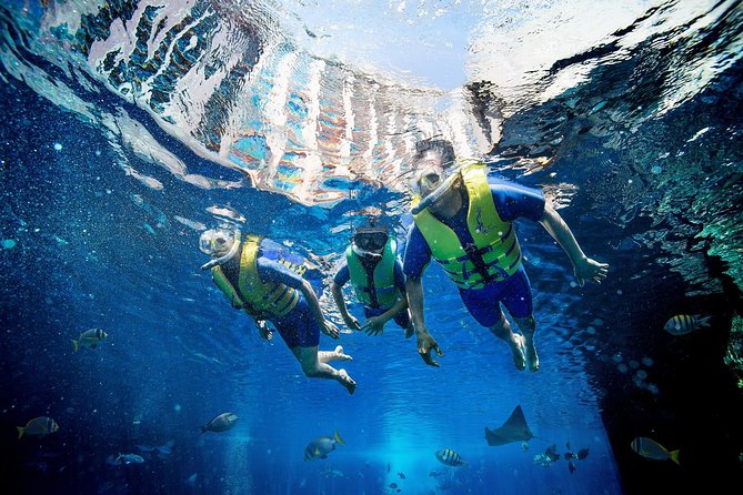 Dubai Lost Chambers Ultimate Snorkel Experience - What the Lost Chambers snorkel experience is really like
