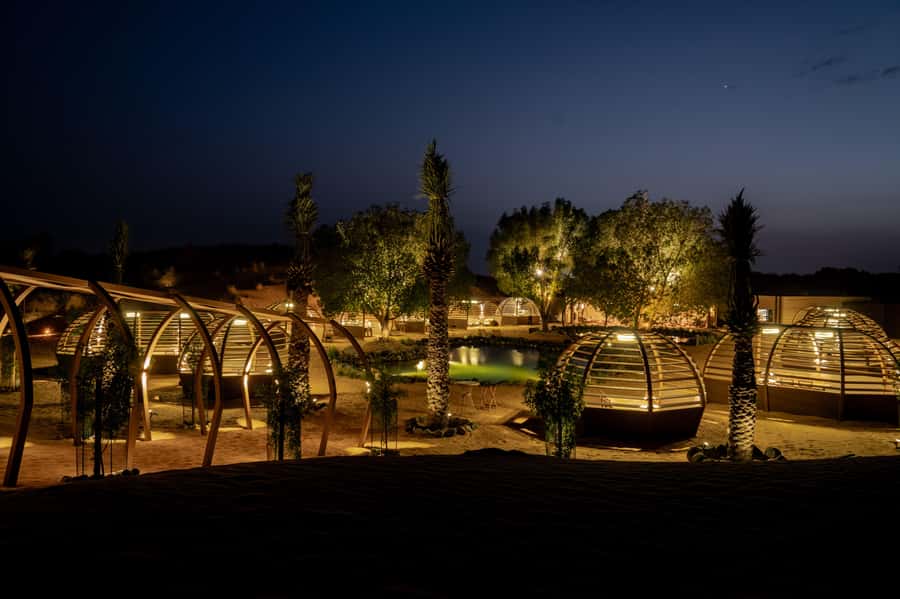 Dubai: Luxury Safari with Michelin-Curated 5-Course Dinner - Dunes, ghaf trees, and a remote lake