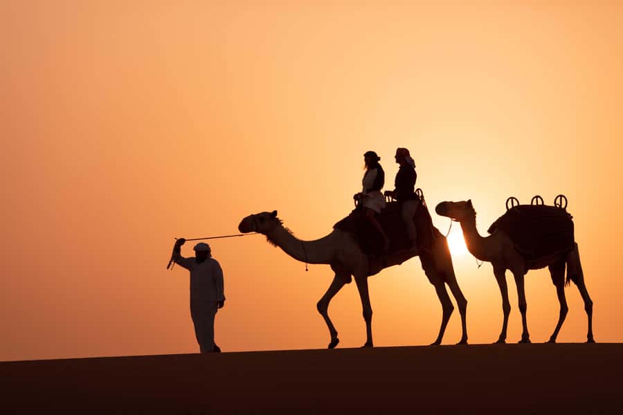 Dubai: Luxury Safari with Michelin-Curated 5-Course Dinner - Is $531 per person fair?
