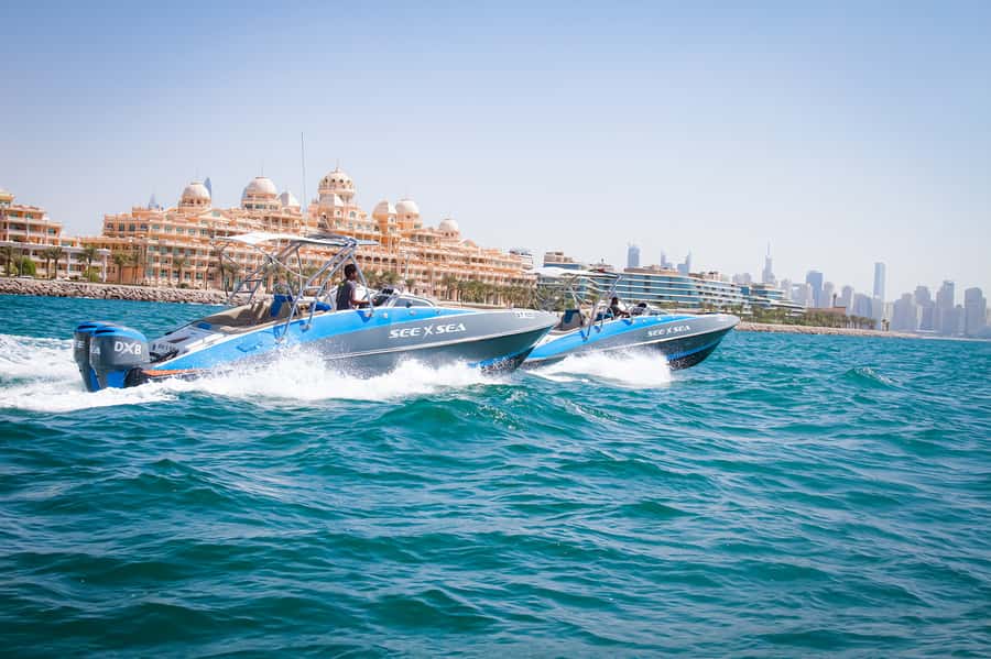 Dubai: Marina Private Boat Tour & Palm Jumeirah Sightseeing - Guides add the personal touch