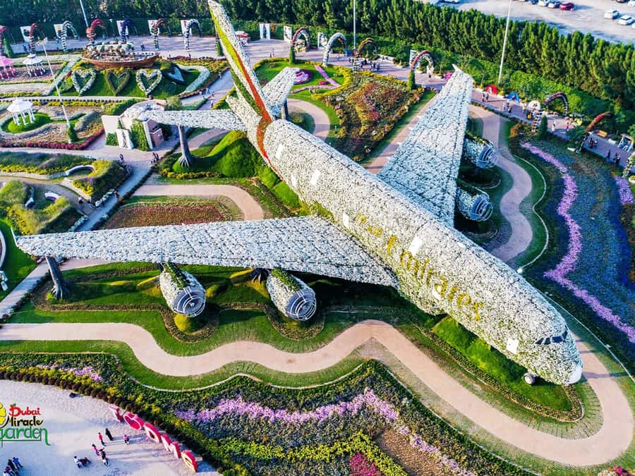 Dubai: Miracle Garden Entry Ticket with Hotel Transfer - The Airbus A380 is the headline display