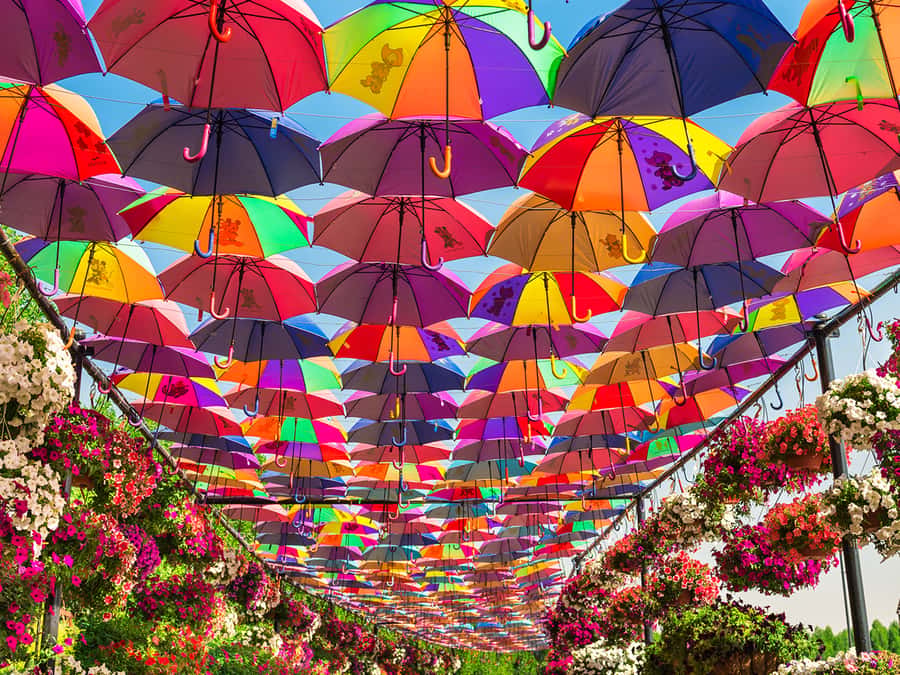 Dubai: Miracle Garden Entry Ticket with Hotel Transfer - Smurfs Village and the butterfly garden