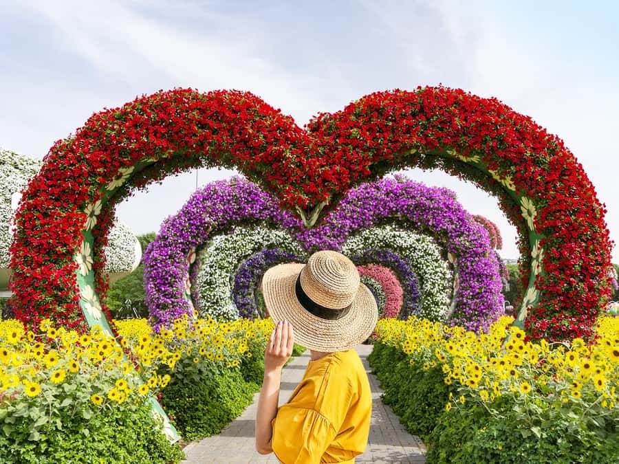 Dubai: Miracle Garden Entry Ticket with Hotel Transfer - The hotel pickup and drive to Miracle Garden