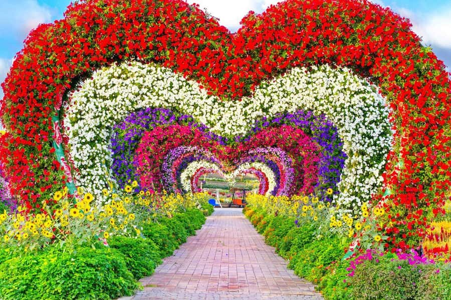Dubai: Miracle Garden, Global Village, and Dubai Frame - From Desert Flowers to World Food