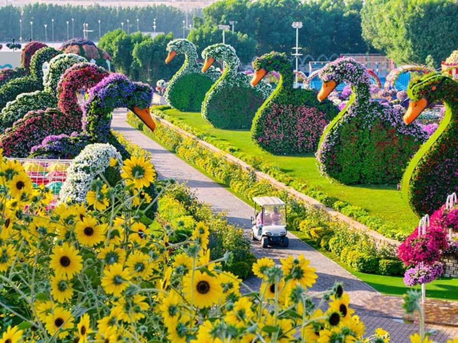 Dubai: Miracle Garden, Global Village, and Dubai Frame - Global Village After the Lights Come On