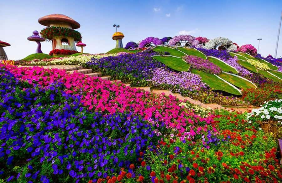 Dubai: Miracle Garden, Global Village, and Dubai Frame - Practical Details Before You Go