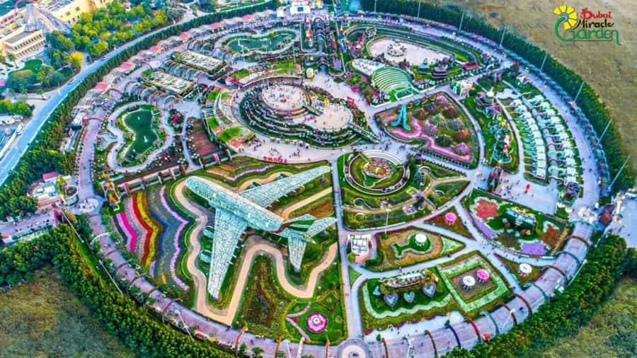 Dubai: Miracle Garden, Global Village, and Dubai Frame - Miracle Garden: Big Flowers, Bigger Photo Opportunities