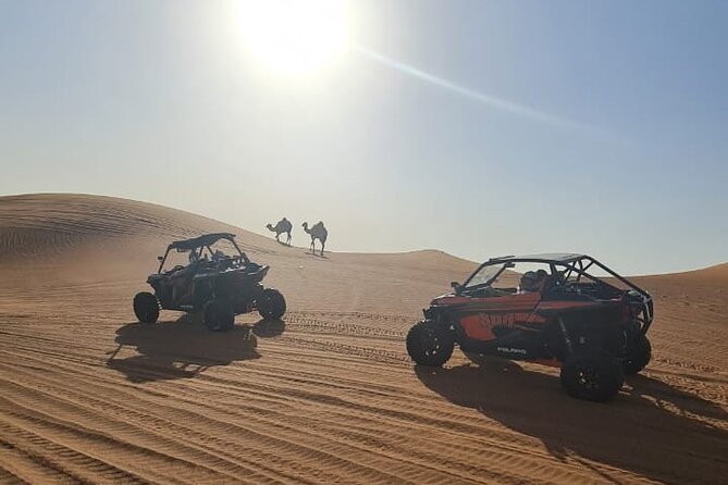 Dubai Morning Buggy Dunes Safari with Sandboarding & Camel Ride - How the morning is paced