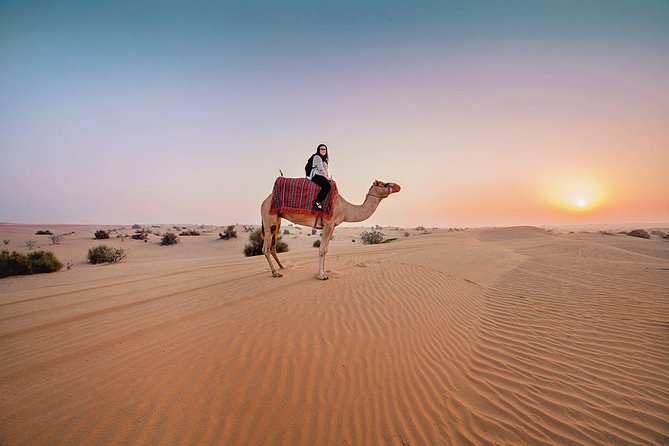 Dubai Morning Desert Safari: Camel Ride & Sandboarding! - Key points at a glance