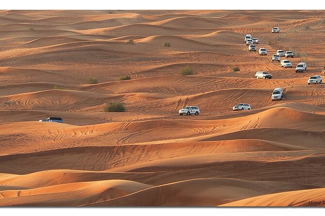 Dubai Morning Desert Safari: Camel Ride & Sandboarding! - A short camel ride with cultural appeal