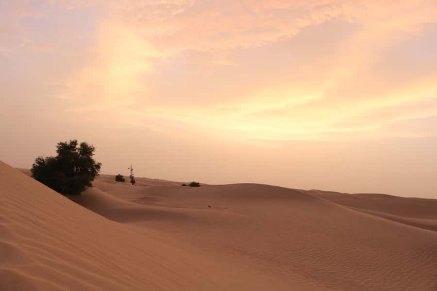 Dubai: Morning Desert Safari with Camel Ride & Sandboarding - Gahwa, dates, and a simple desert camp