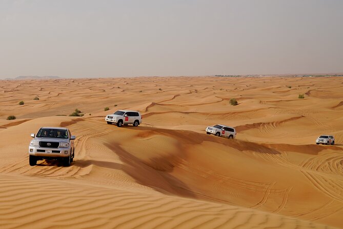 Dubai Morning Desert Safari with Quad Biking & More Activities - Guides matter more than the brochure