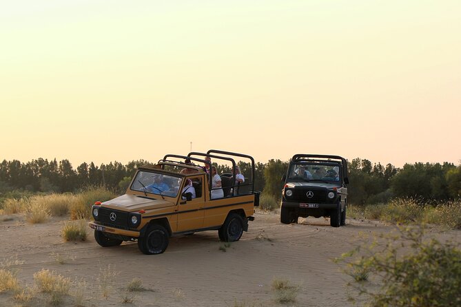 Dubai: Morning Heritage Safari by Vintage G Class & Al Marmoom Oasis - Arriving at the Bedouin village