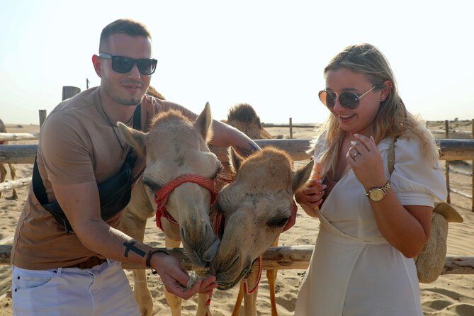 Dubai: Morning Heritage Safari by Vintage G Class & Al Marmoom Oasis - The vintage Mercedes ride across the reserve