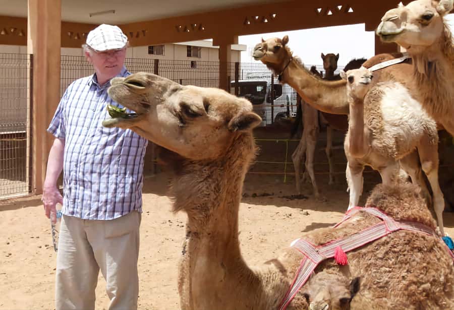 Dubai: Old City Walking Tour with Abra Ride - Al Bastakiya and the logic of wind towers