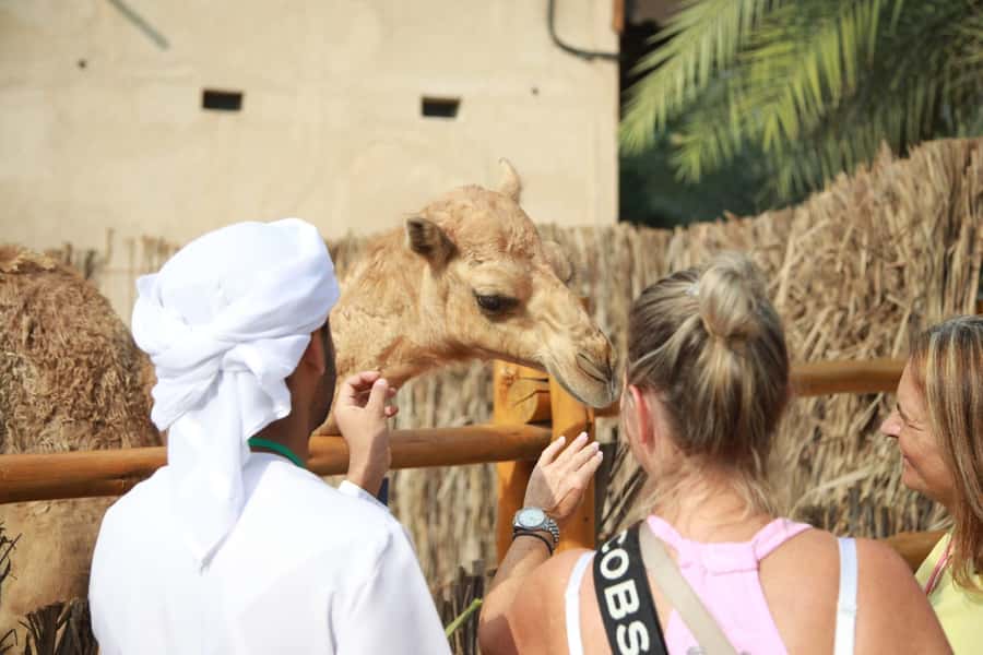 Dubai: Old City Walking Tour with Abra Ride - Al Seef: a polished introduction to the creek