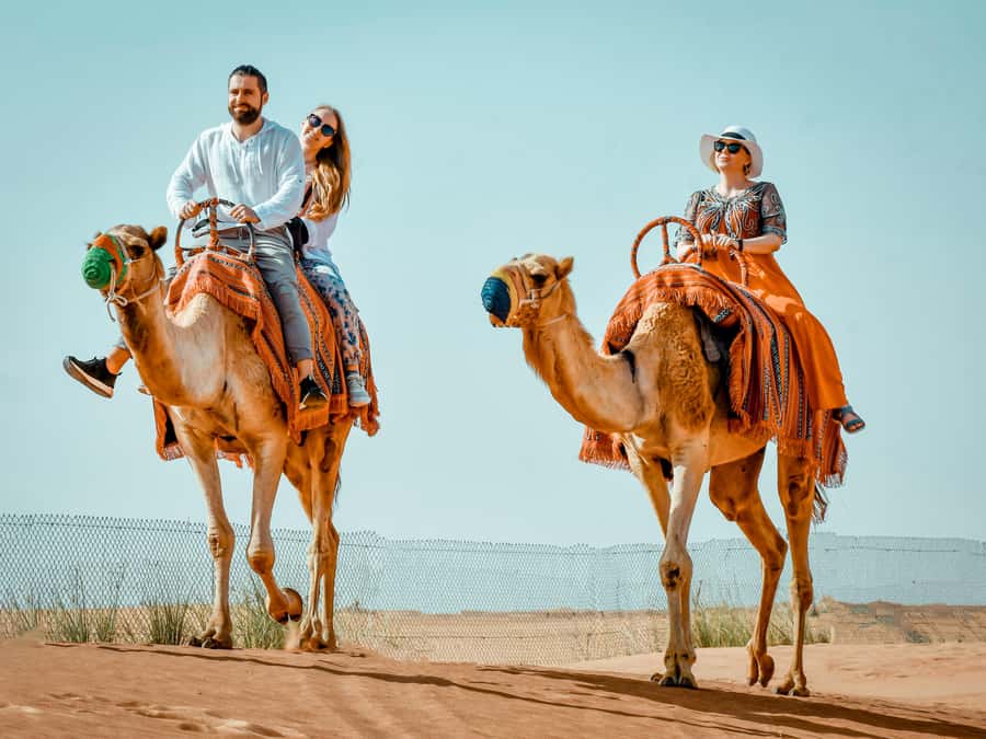 Dubai: Premium Red Dune Safari with Sandboarding & BBQ - From Dubai streets to Lahbab’s red dunes