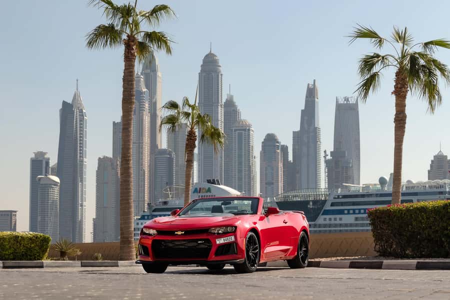 Dubai: Private City Sights Tour in a Cabriolet Convertible - Palm Jumeirah and the Atlantis view