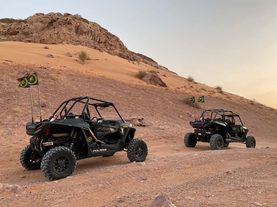 Dubai: Private Desert Buggy Tour, Camel Ride & Sandboarding - The Viewpoints Make the Ride More Than a Vehicle Rental