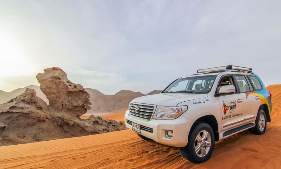 Dubai: Private Desert Day Tour and Wadi Shawka Pool Visit - Picnic lunch, drinks, and the practical side