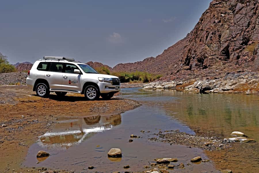 Dubai: Private Desert Day Tour and Wadi Shawka Pool Visit - Camel Rock and Fossil Rock: desert scenery with a story