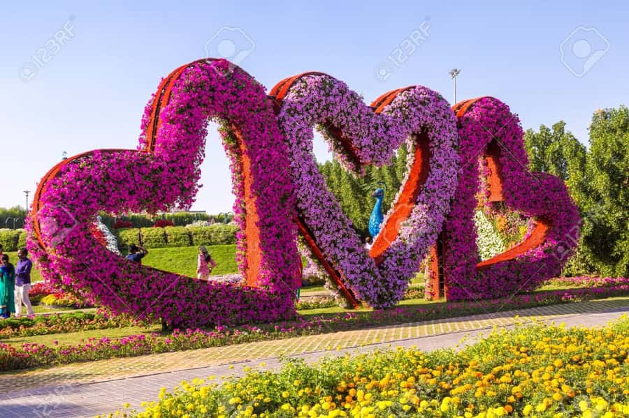Dubai: Private Dubai Flora and Fauna Trip - Key points at a glance