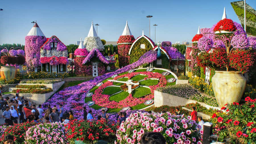 Dubai: Private Dubai Flora and Fauna Trip - Five minutes later, Miracle Garden