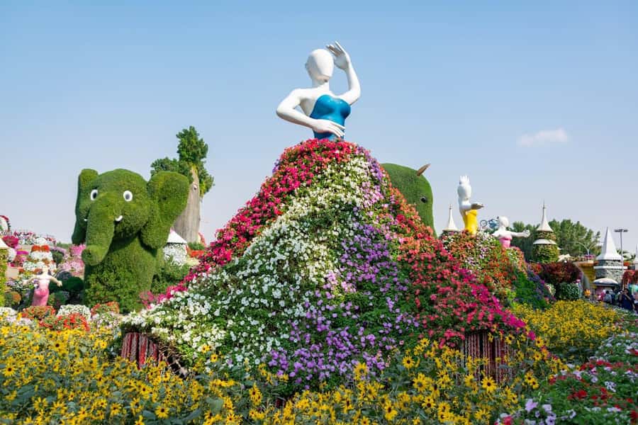 Dubai: Private Dubai Flora and Fauna Trip - Who will get the most from this tour