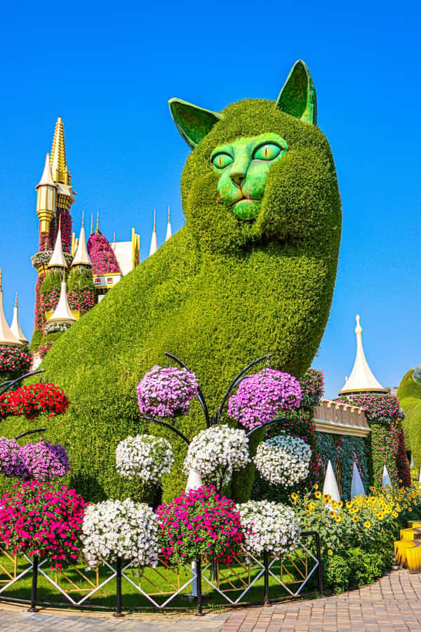 Dubai: Private Dubai Flora and Fauna Trip - Is $102 per person good value?