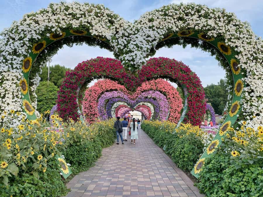 Dubai: Private Dubai Flora and Fauna Trip - Should you book this garden trip?