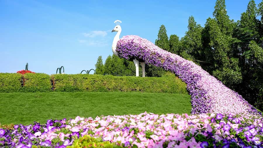 Dubai: Private Dubai Flora and Fauna Trip - Meeting thousands of butterflies indoors