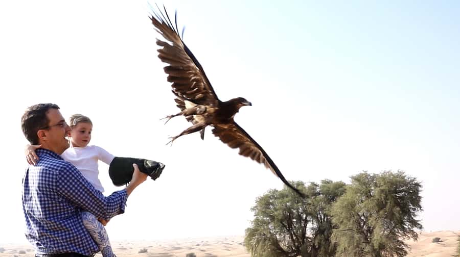 Dubai: Private Falconry Safari - Why this Dubai falconry safari feels different